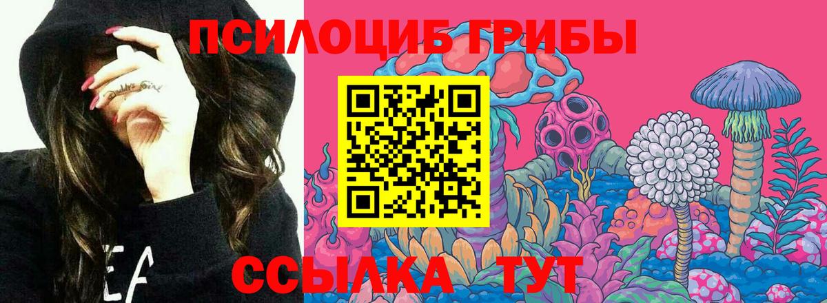 Галлюциногенные грибы MAGIC MUSHROOMS  Галлюциногенные грибы Magic Shrooms  Ирбит  Вход с VPN 